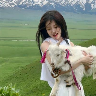 美人脸