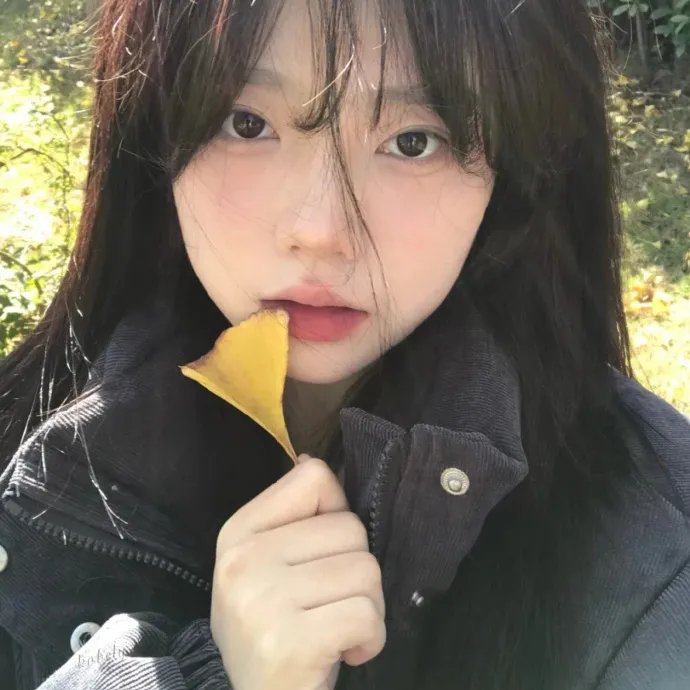 带一片风景走